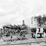 Ox team, 1899. Two boys on a cart loaded with wood, pulled by two oxen. Posed on a road path with a railroad track in the foreground. Scene of Judge H.B. Spooner's farm in Faceville, Decatur County, Georgia.