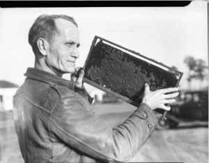 Beekeeper holding a honeycomb, Atlanta, Georgia, February 17, 1946. Local identification number: AJCN036-110d, Atlanta Journal-Constitution Photographic Archives. Special Collections and Archives, Georgia State University Library.