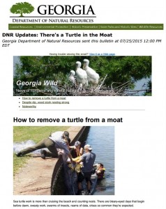 Georgia wild: news of nongame and natural habitats, July 25, 2015.  This issue includes a piece on how to remove a  turtle from a moat, and a report on wood stork nesting throughout Georgia.