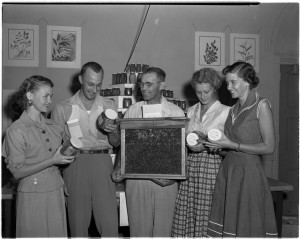 Honey entomologist exhibits at extension workers conference in Athens. College of Agriculture and Environmental Sciences (CAES) Photograph Collection, University Archives, Hargrett Library, University of Georgia, Athens, Georgia.