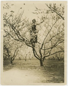 Photograph of Audrey Fagan in Blooming Peach Tree During Peach Festival, Fort Valley, Peach County, Georgia, 1924. Peach Public Library, Fort Valley, Georgia.