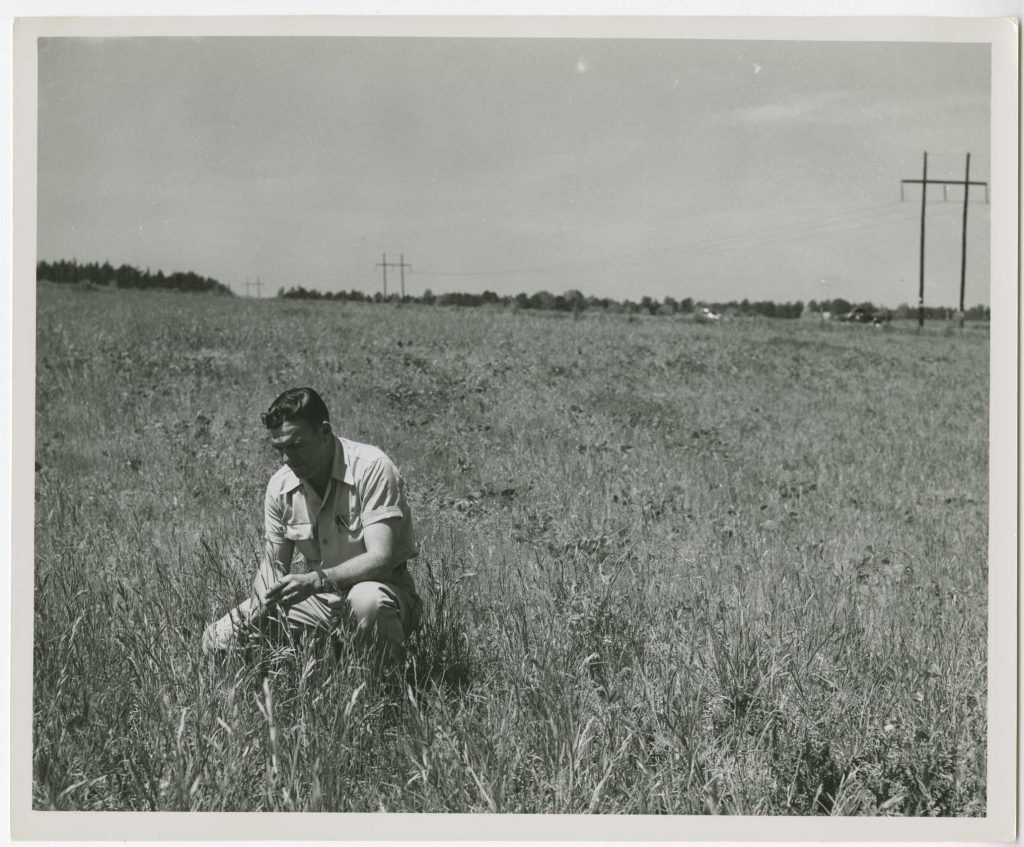 Photograph of J.C. Butler kneeling in J.H. Marshall's farm field, Evans, Georgia, 1952 April